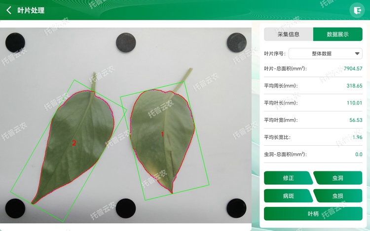 1767679593400786.jpg 整體分析 - 副本.jpg