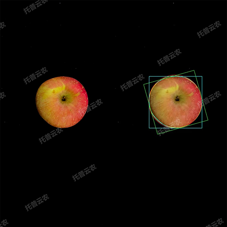 1770198217722607.jpg 3.jpg