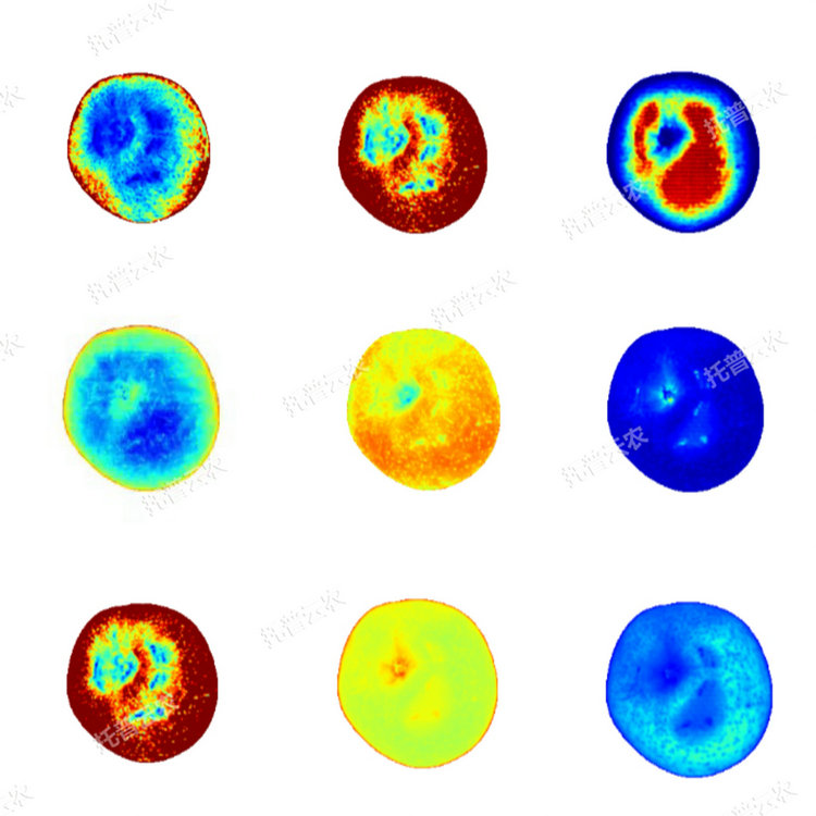 1770198278921870.jpg 2.JPG