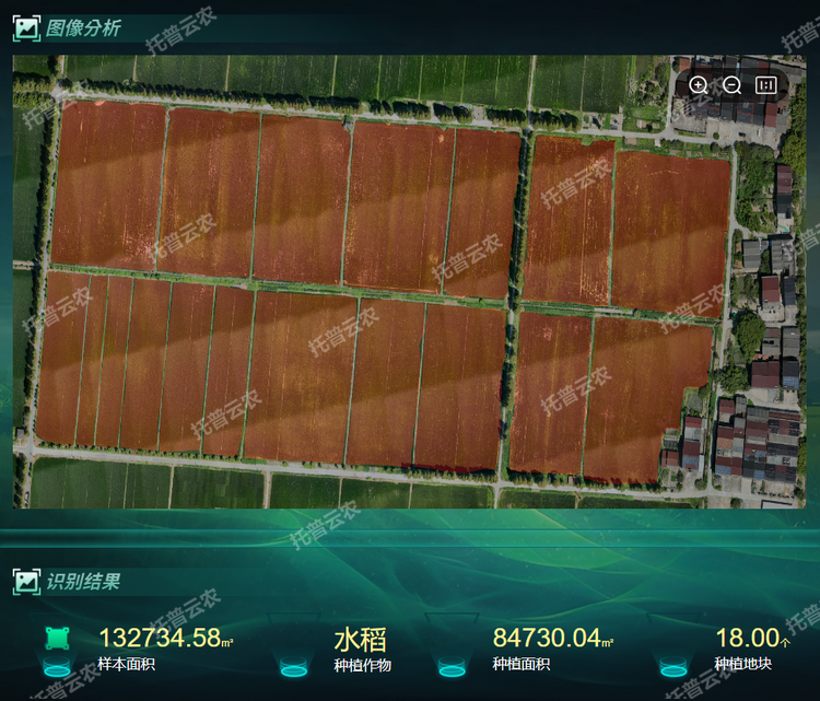 種植面積.png
