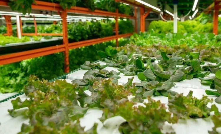 1773986395339293.png 1.png