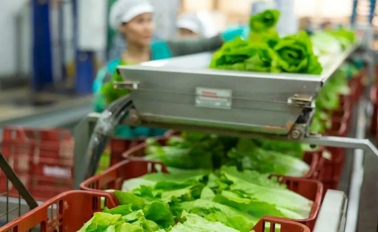 1773986432648193.png 圖片2.png