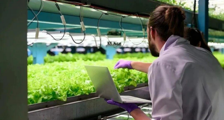 1773986525518992.png 圖片5.png