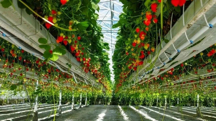 1773986555840823.png 圖片6.png