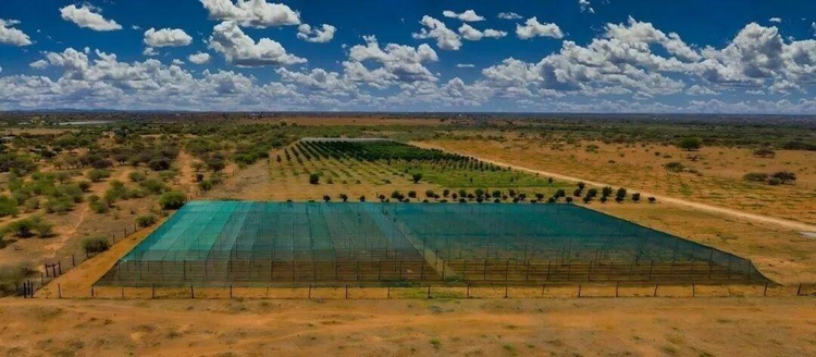 1773986707964407.png 圖片7.png