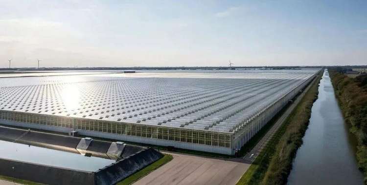 1773986740543429.png 圖片8.png