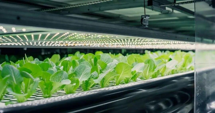 1773987528389166.png 2-1.png