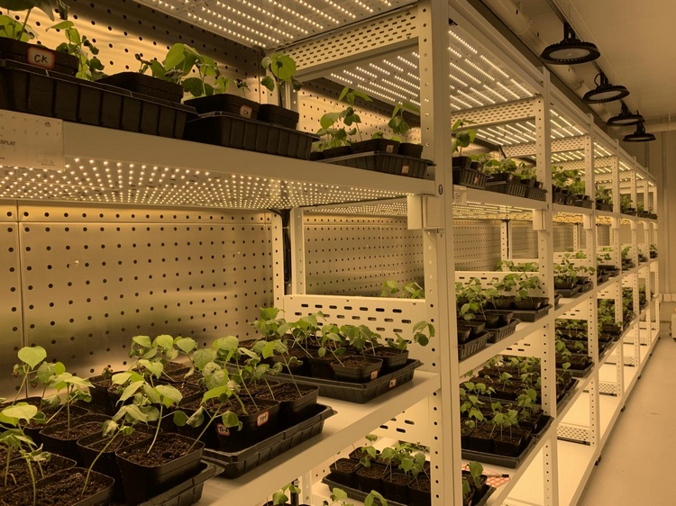 1773989460687568.png 3-1.png