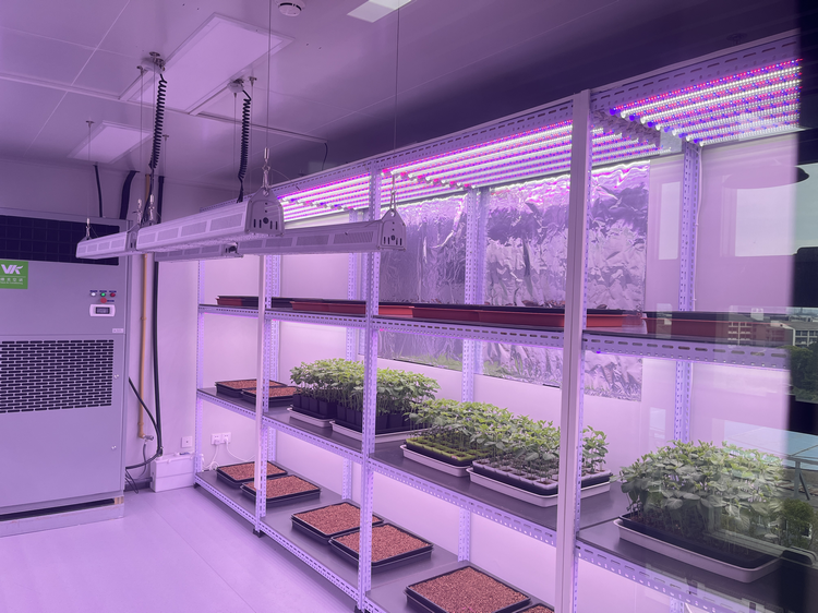 1773989502596606.png 3-3.png