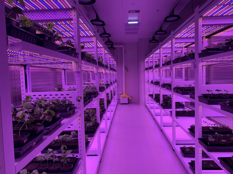 1773989526719152.png 3-4.png