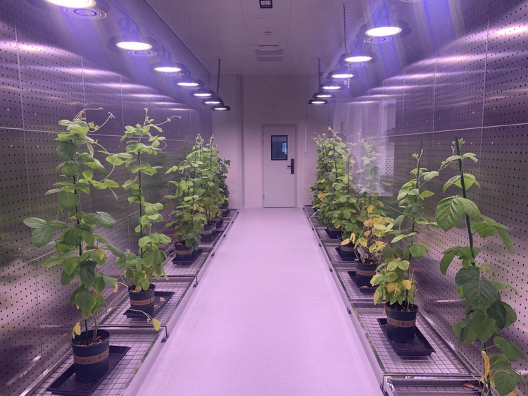 1773990151147174.png 4-2.png