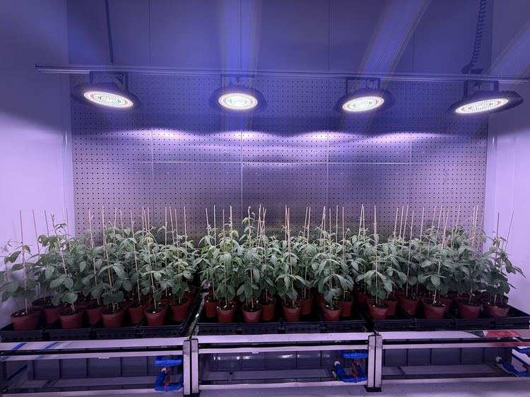 1773990222284804.png 4-3.png