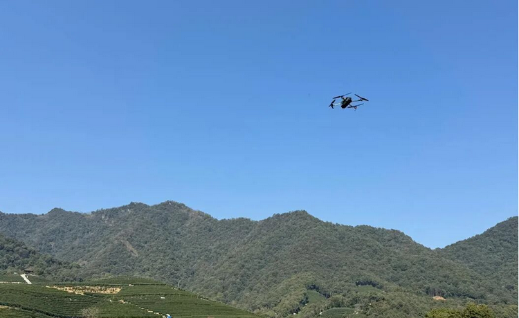 1773992322949245.png 6-2.png