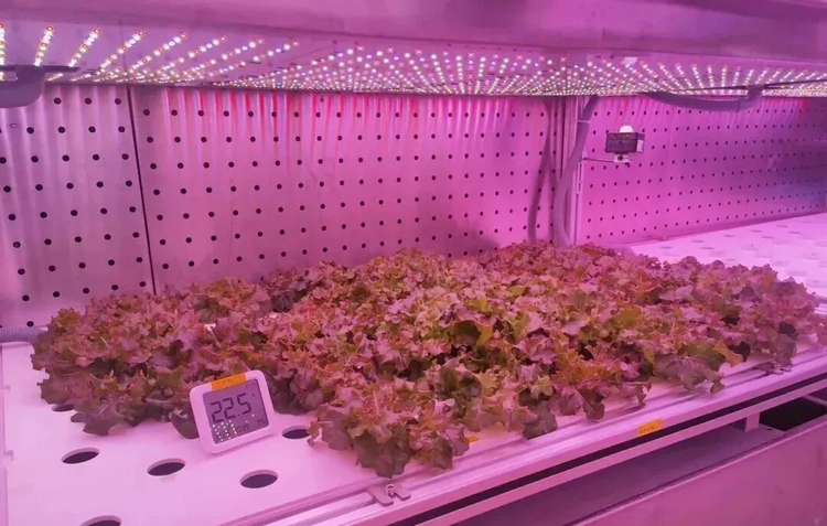 1774415680976456.png 9-2.png