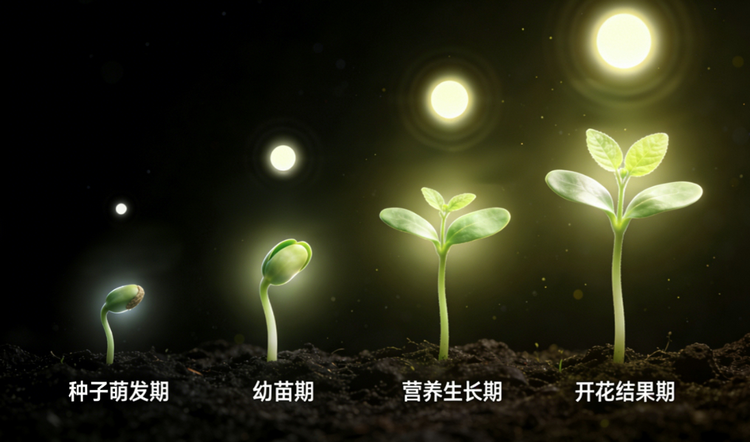 1774415701975108.png 9-3.png